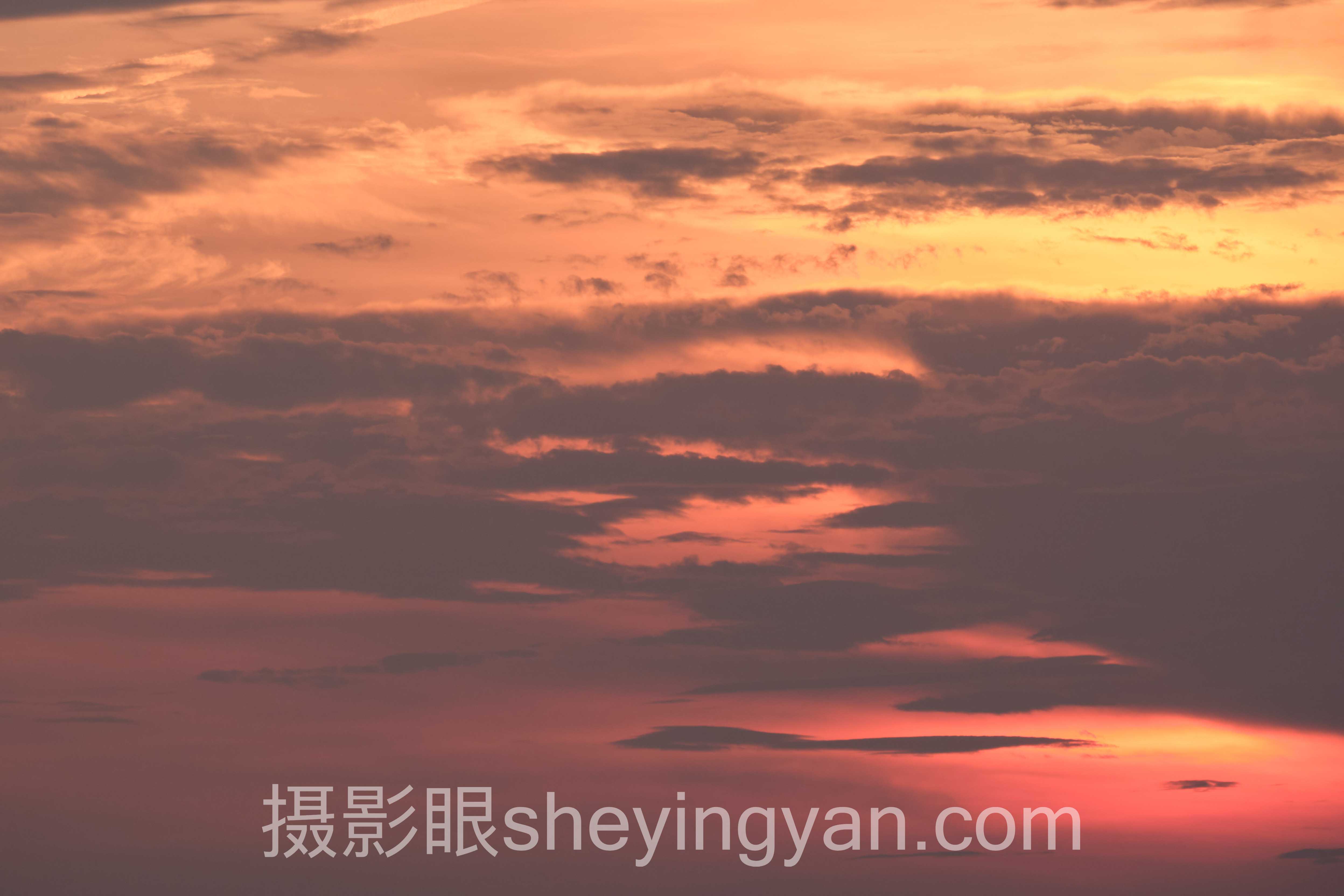 2024年日系摄影审美特点数据报告：关键趋势与洞察