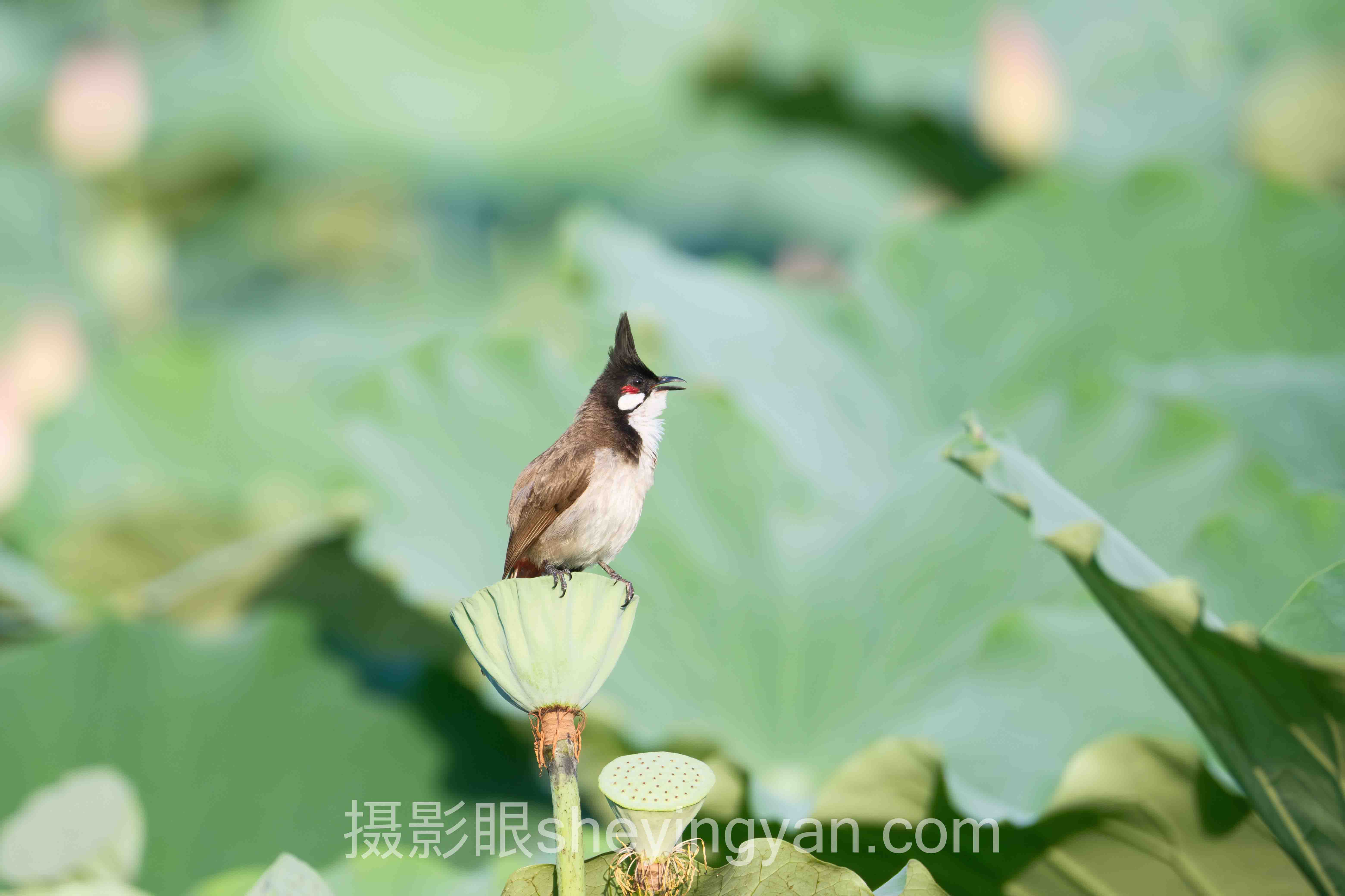 摄影学习哪个学校好？技术派只认这3类底层教学逻辑