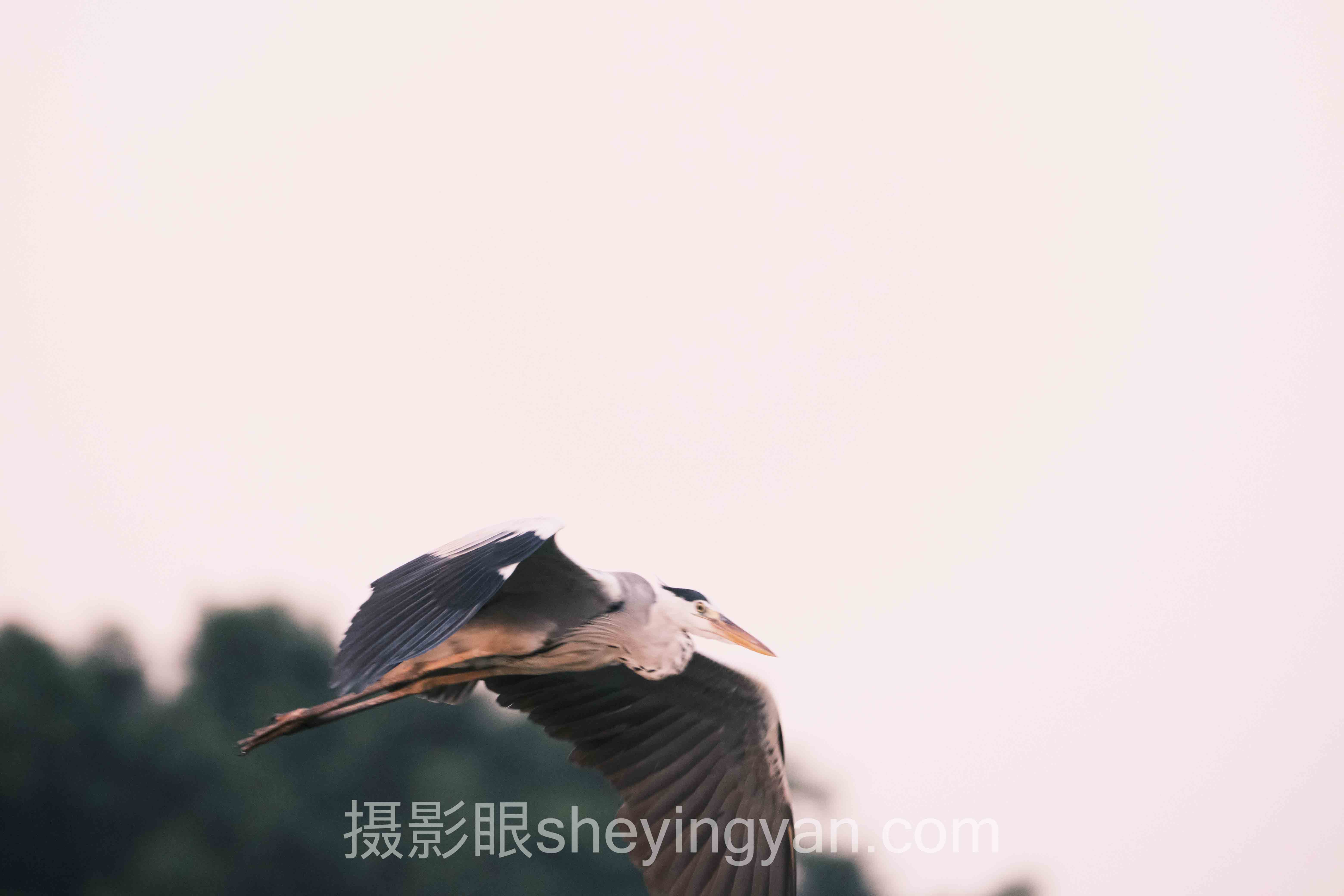 风光摄影眼养成指南：从拍下风景到拍出光线的视觉机制