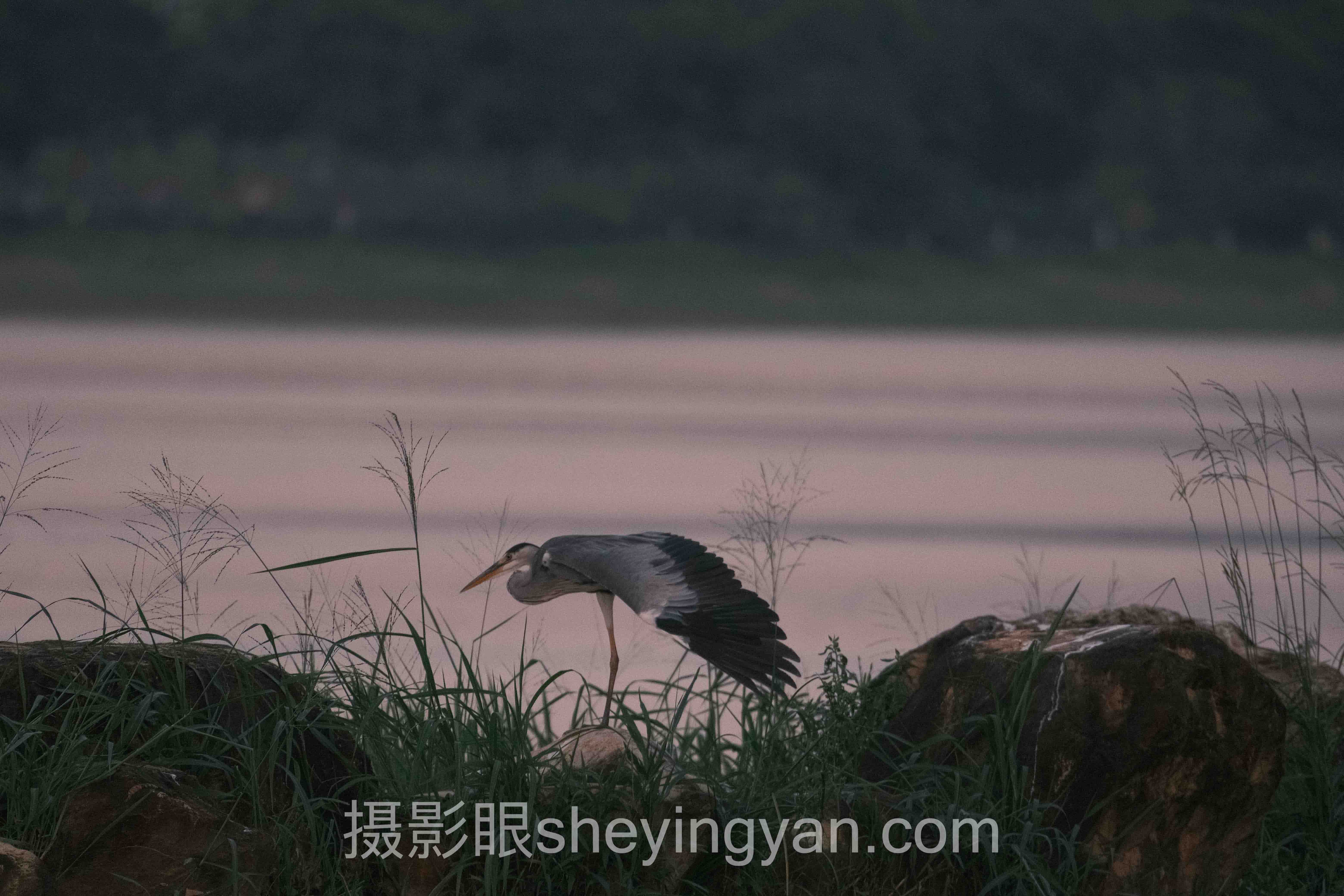 零基础学摄影眼全景解读：问题根源与破局之道