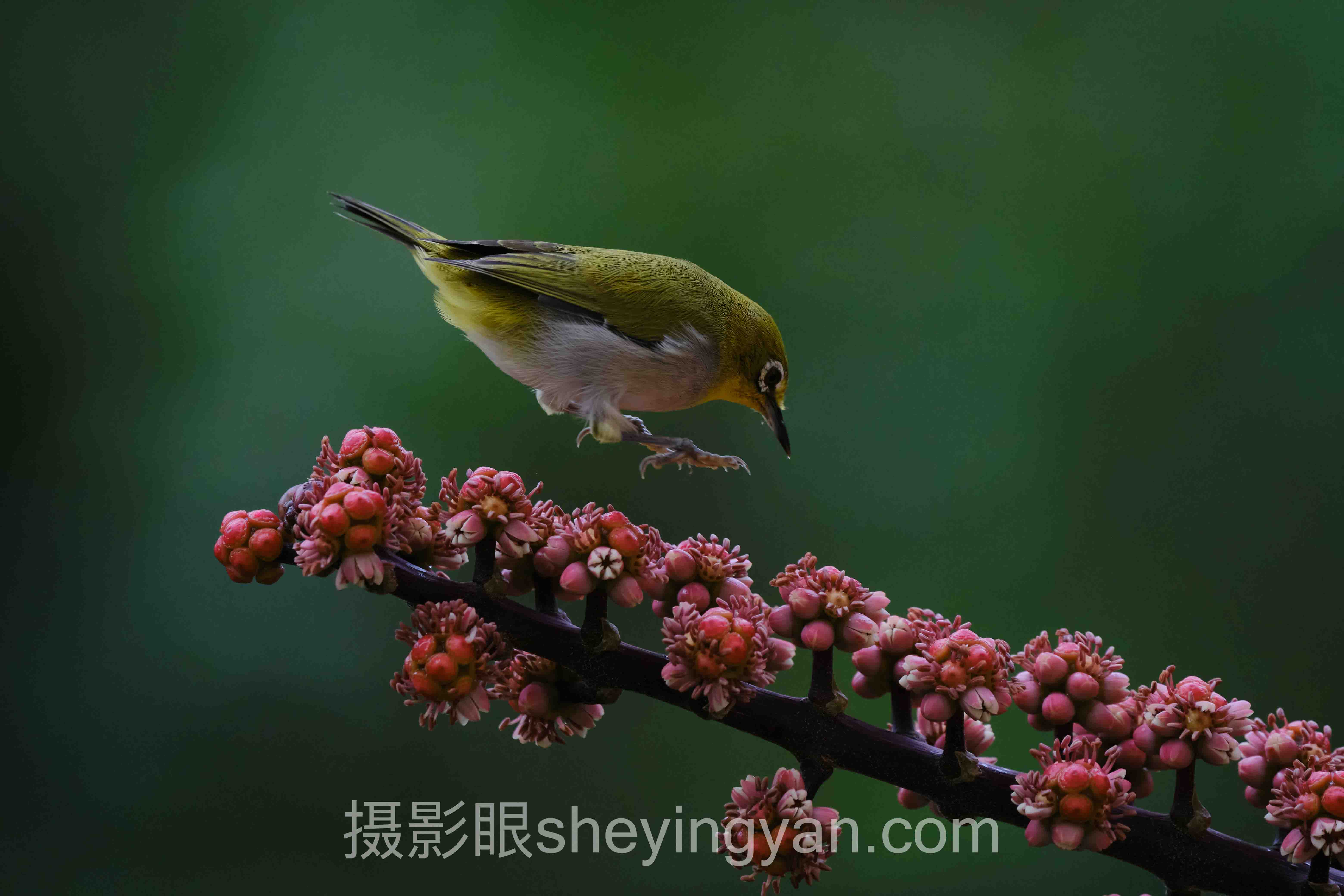 摄影审美培训班多少钱
